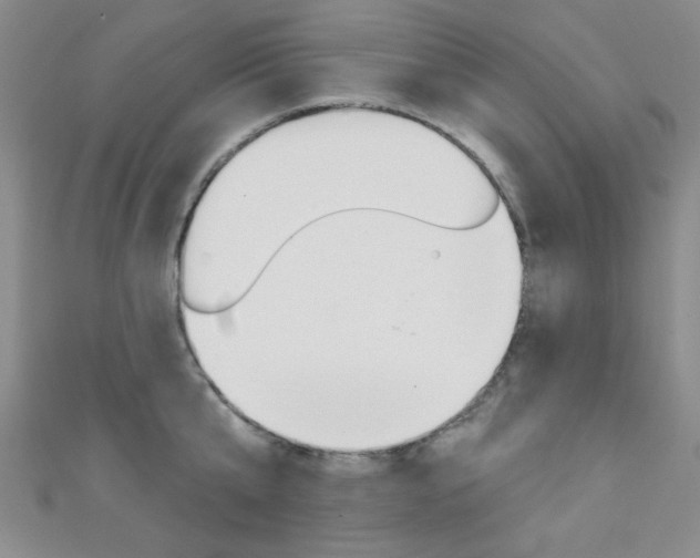 X0000111420807200907131019