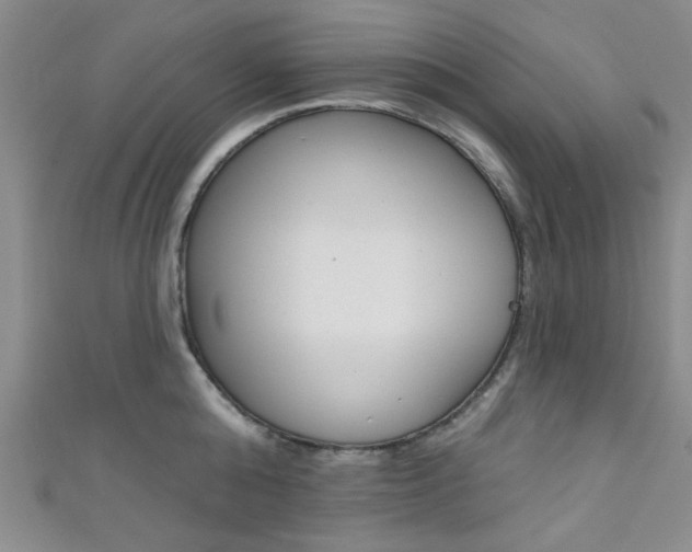 X0000111420808200907131019
