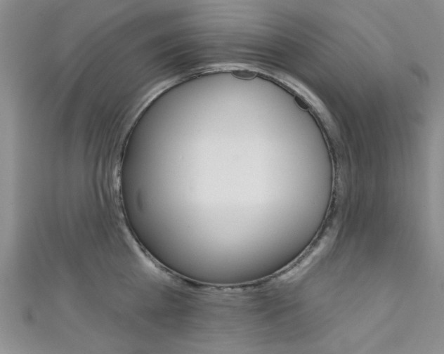 X0000111420809200907131019