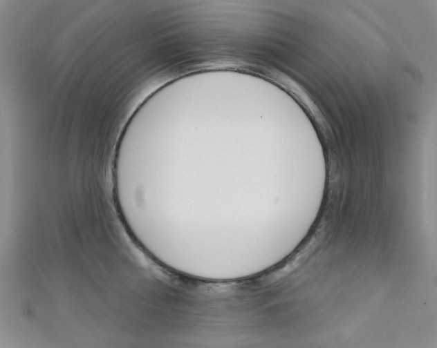 X0000111420810200907131019