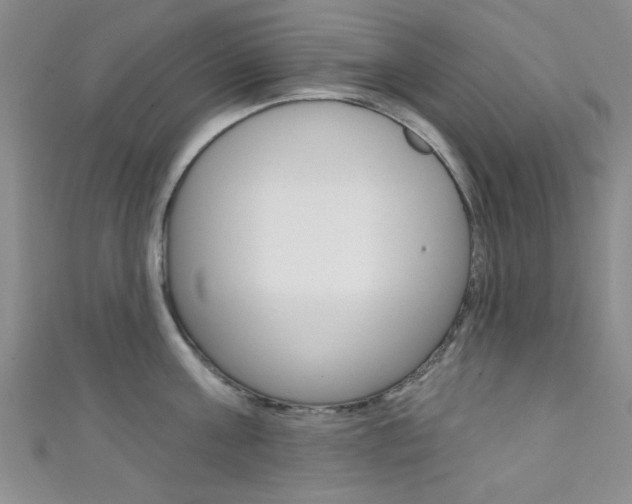 X0000111420811200907131019
