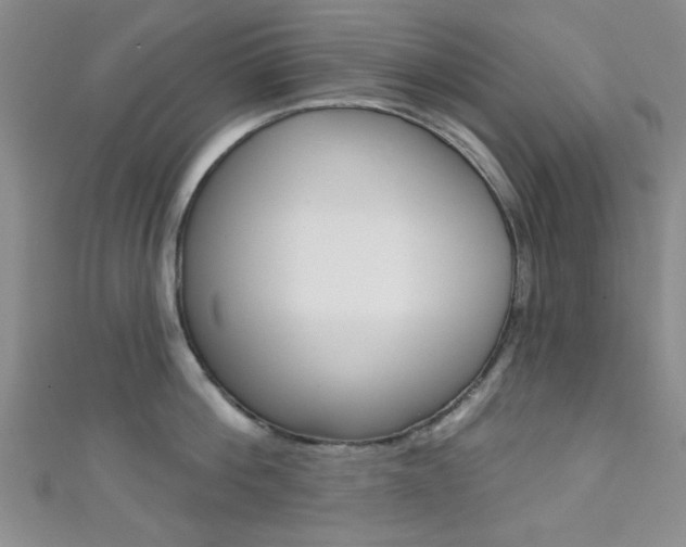 X0000111420812200907131019