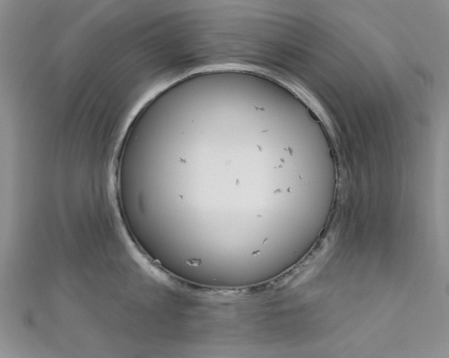 X0000111420813200907131019