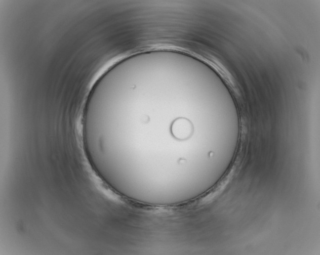 X0000111420814200907131019