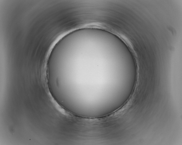 X0000111420816200907131019