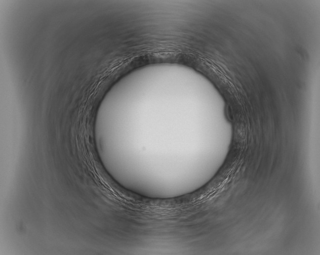 X0000111420817200907131018