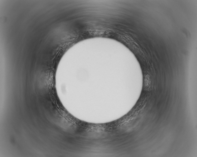 X0000111420820200907131018