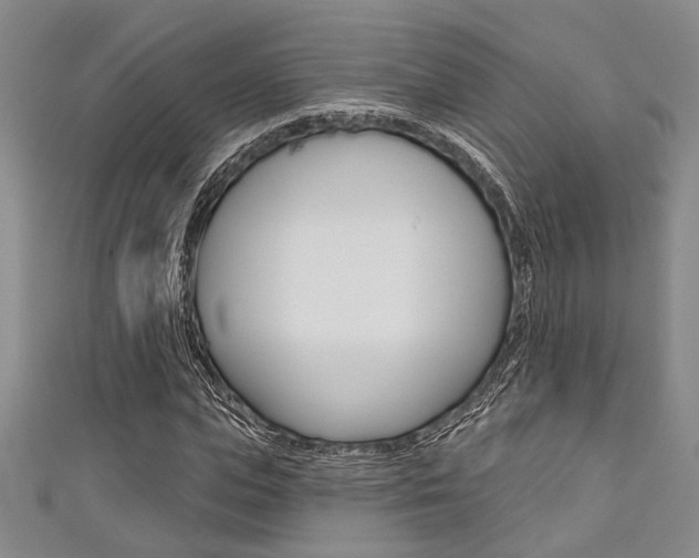 X0000111420823200907131018