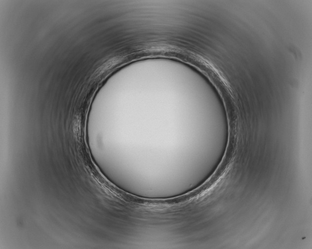 X0000111420825200907131018