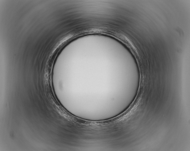 X0000111420827200907131018