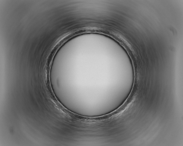 X0000111420829200907131018