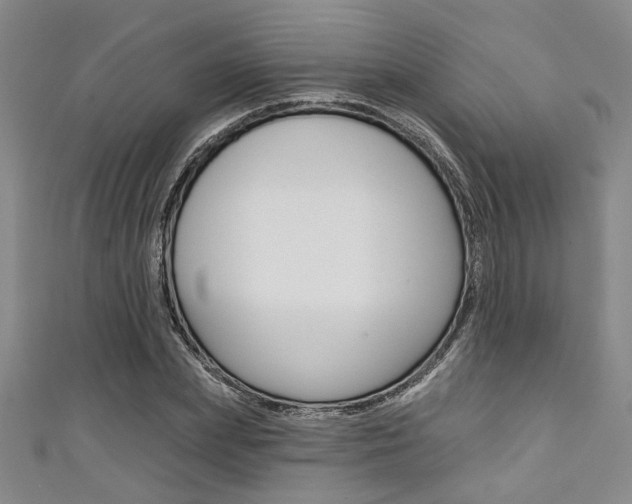X0000111420831200907131018