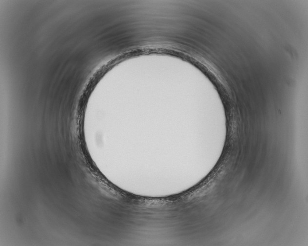 X0000111420832200907131018