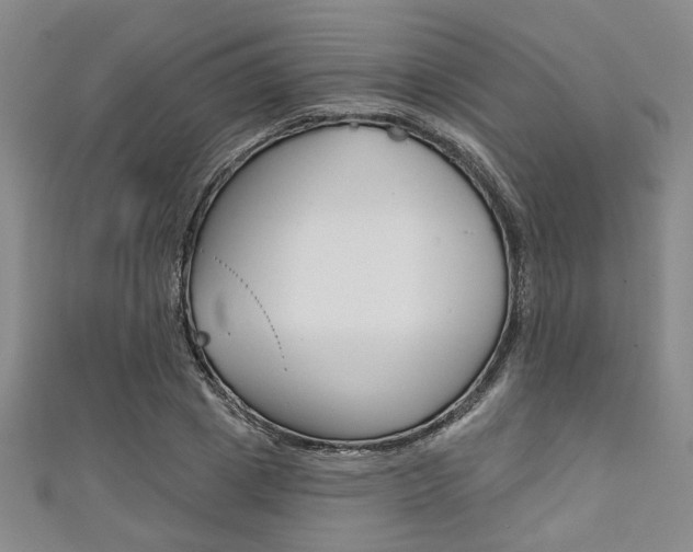 X0000111420833200907131018