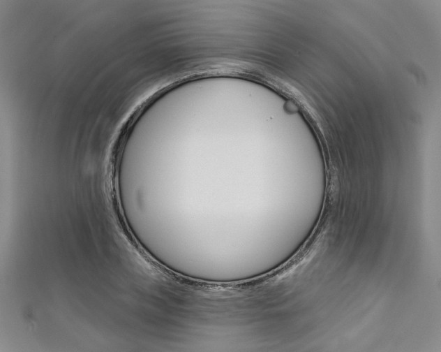 X0000111420835200907131018