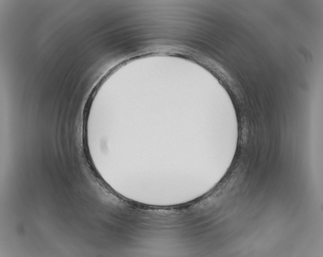 X0000111420836200907131018