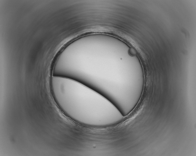 X0000111420837200907131018