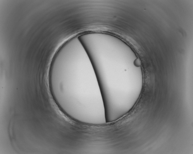 X0000111420840200907131018