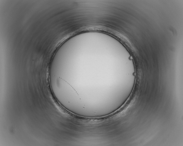 X0000111420841200907131018