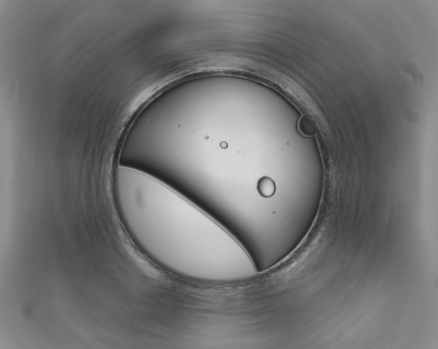 X0000111420842200907131018