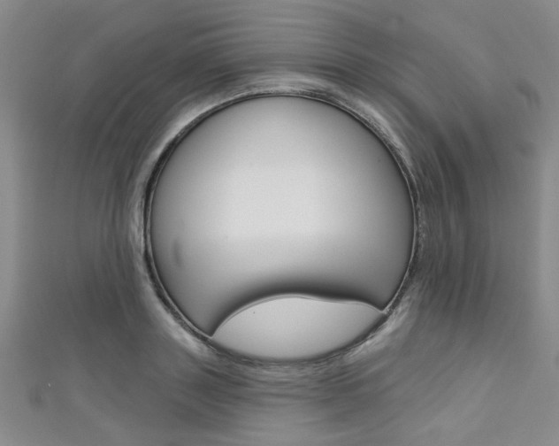 X0000111420843200907131018