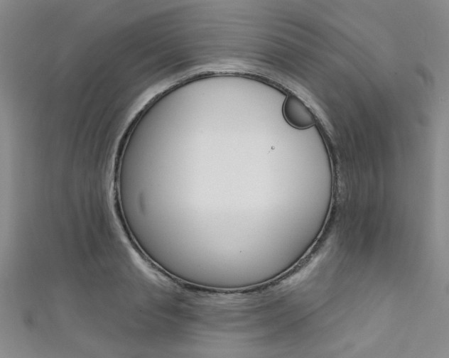 X0000111420845200907131018