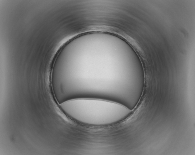 X0000111420846200907131018