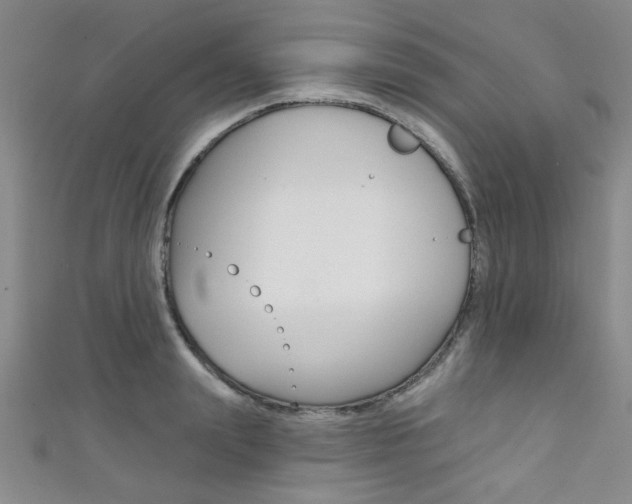 X0000111420847200907131018