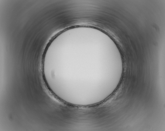 X0000111420848200907131018
