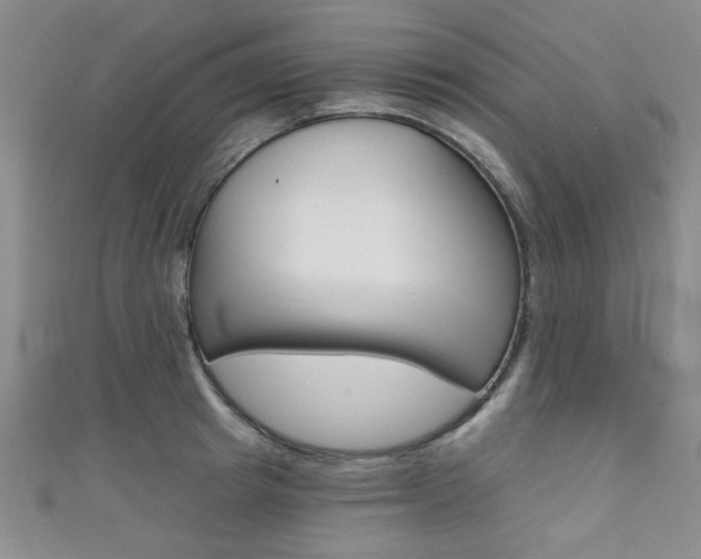X0000111420849200907131018