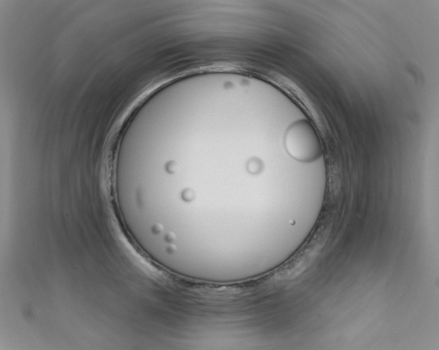 X0000111420851200907131018