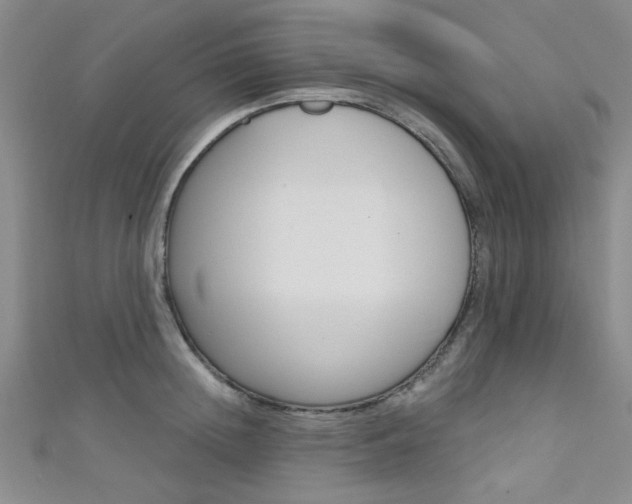 X0000111420852200907131018