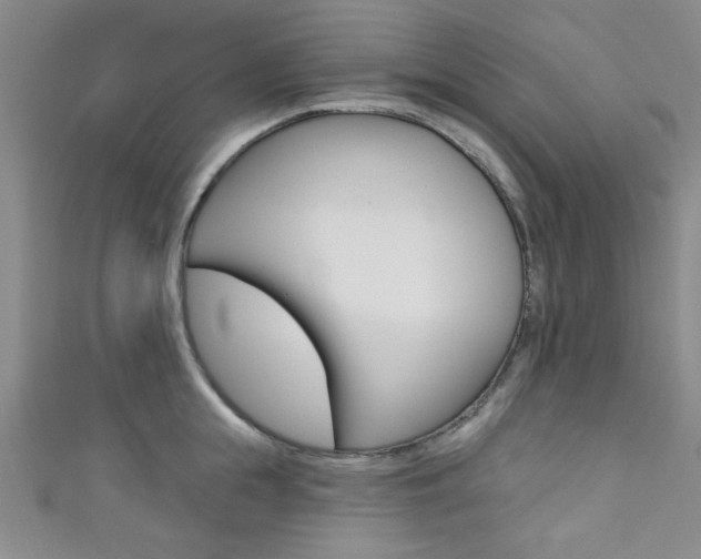 X0000111420855200907131018