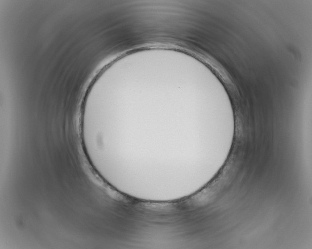 X0000111420856200907131018
