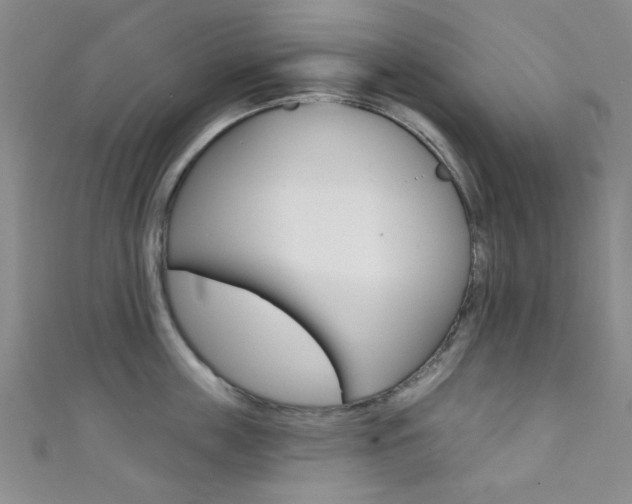 X0000111420859200907131018