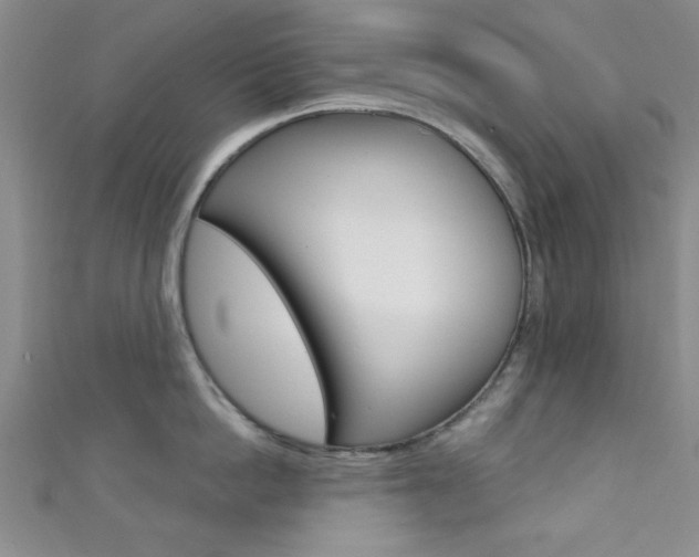 X0000111420862200907131019