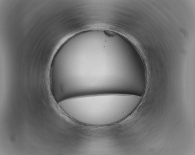 X0000111420864200907131019