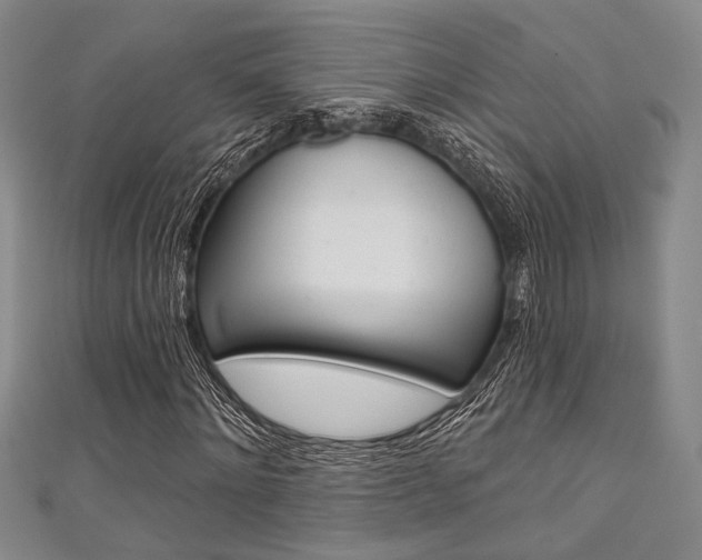 X0000111420868200907131018