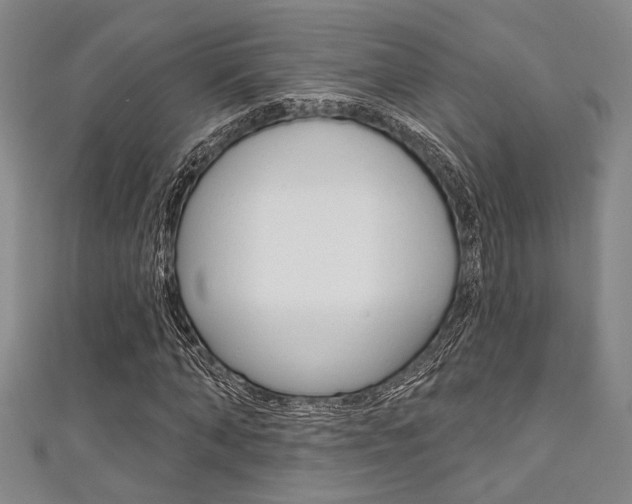 X0000111420870200907131018