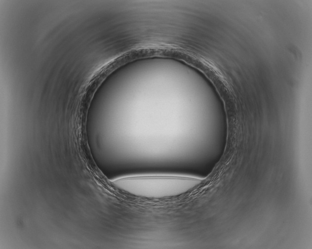 X0000111420872200907131018