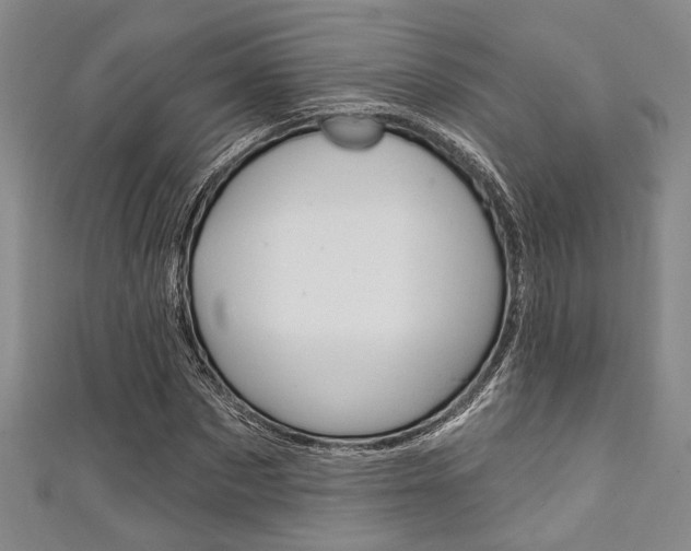 X0000111420873200907131018