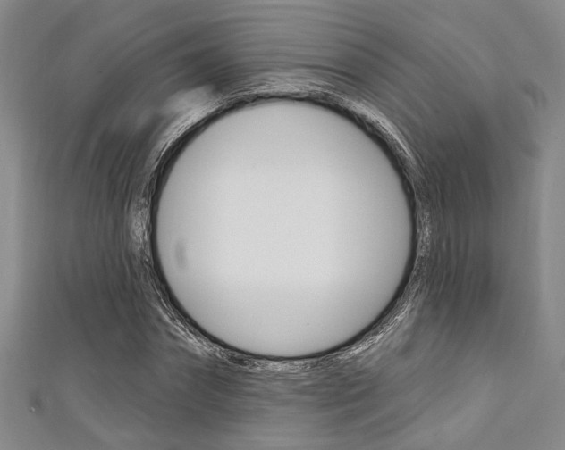 X0000111420874200907131018