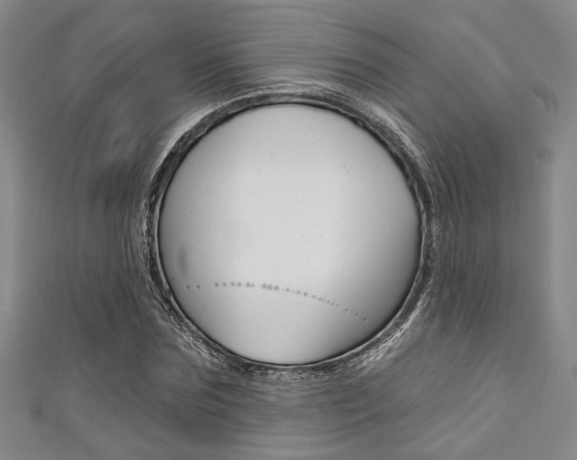 X0000111420875200907131018