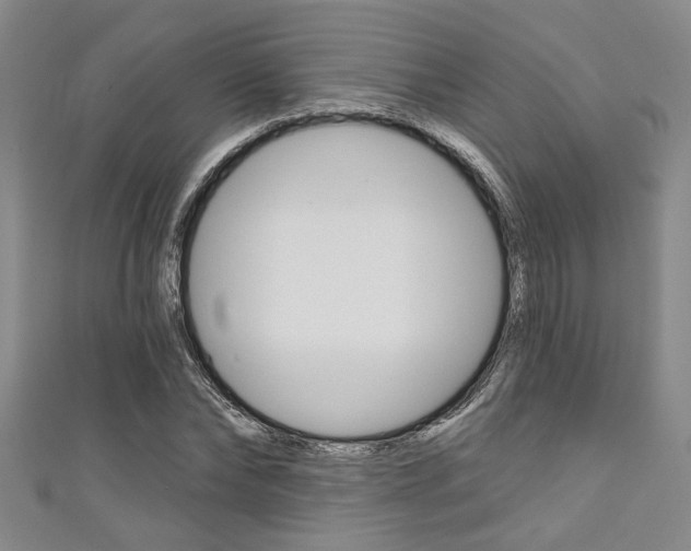 X0000111420878200907131018