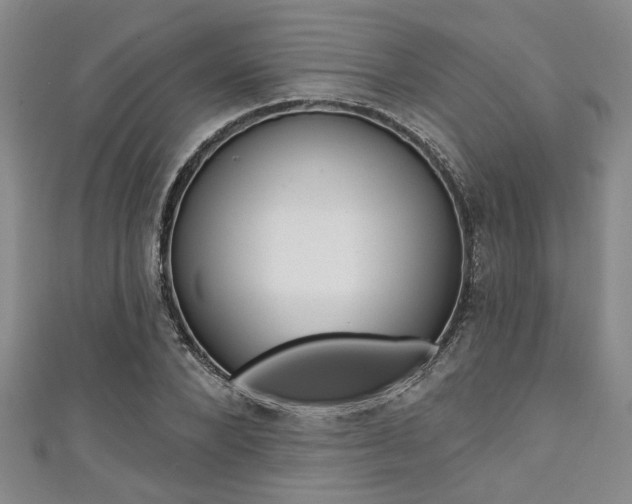 X0000111420880200907131018