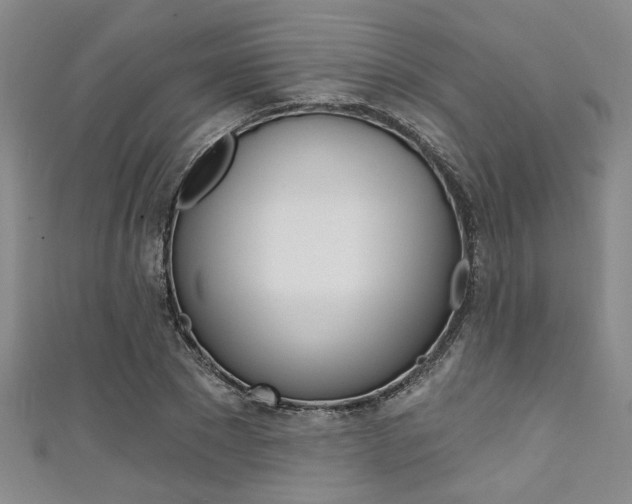 X0000111420881200907131018