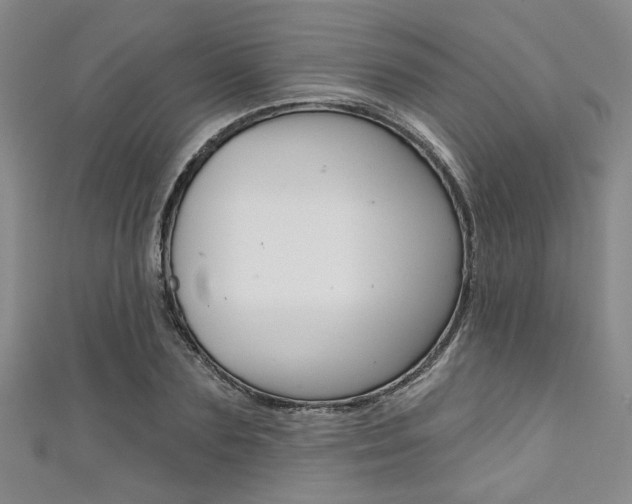 X0000111420883200907131018