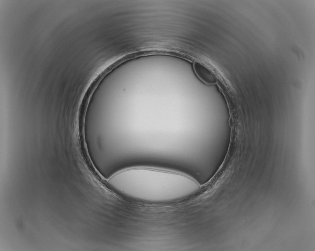 X0000111420884200907131018