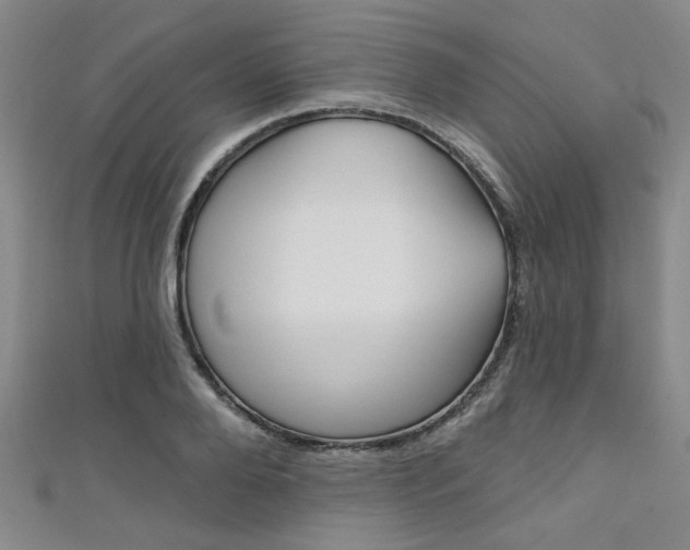 X0000111420888200907131018