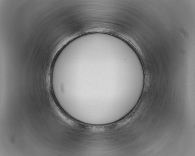 X0000111420890200907131018